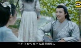穿越到宋朝的电视剧,穿越时空的传奇人生