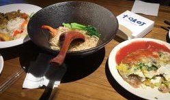 温州美食爆料视频播放