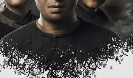 陕西题材电视剧大全集,陕西题材电视剧大全集精彩回顾