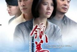 领养电视剧免费观看,免费观看的温馨家庭剧