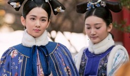 后宫争宠电视剧,权谋与爱情的较量