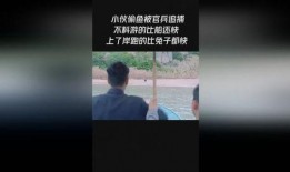 最新偷鱼爆料新闻视频播放,视频曝光，揭秘黑幕背后的惊人真相