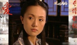 爱情宝典电视剧,解码现代情感密码