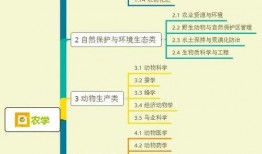 大盗爆料视频大全下载,惊心动魄的盗界风云