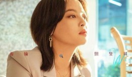 辛芷蕾主演的电视剧,情感纠葛与命运抉择