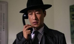 于震主演的电视剧全部,激情燃烧的岁月