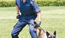 警犬巴打手机在线观看,忠诚守护，手机在线见证