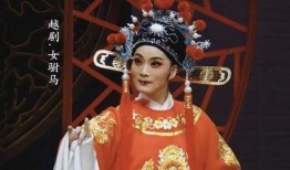 女驸马电视剧,智斗宫廷，情动皇城