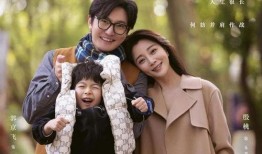 家庭情感电视剧,爱与矛盾的交织