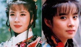 岳翎演过的电视剧,穿越时空的古装传奇