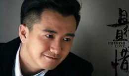 汤煜峰是什么电视剧,揭开神秘家族的传奇往事