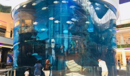 加拿大摩洛哥爆料视频播放,跨国友谊与文化交流的精彩瞬间