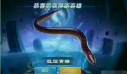 在线观看黄鳝视频,黄鳝视频的黑色产业链