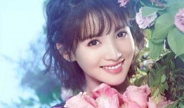 金晨演过的电视剧,金晨演艺生涯精彩剧集盘点
