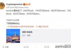 大盗有没有爆料错了的视频,视频真相与误传之谜