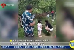 毛人龙被爆料视频播放,揭秘事件背后真相
