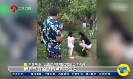 毛人龙被爆料视频播放,揭秘事件背后真相
