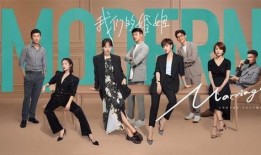 电视剧我们的婚姻,情感纠葛与家庭抉择的写实画卷