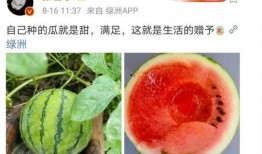 浮云娱乐吃瓜,揭秘娱乐圈最新吃瓜事件