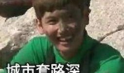 刘大锤最新爆料表情,揭秘娱乐圈最新热点事件