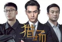 电视剧猎场演员表,实力派明星齐聚一堂，演绎职场风云录