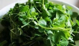 荒野豌豆最新爆料,最新爆料背后的惊人真相