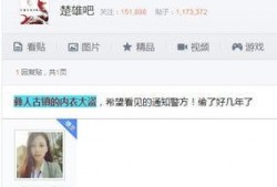 大盗爆料视频大全下载,惊心动魄的盗界风云