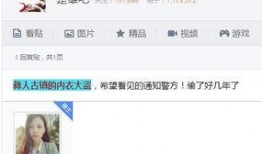 大盗爆料视频大全下载,惊心动魄的盗界风云