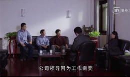 国家审计电视剧,揭秘我国审计工作的幕后故事