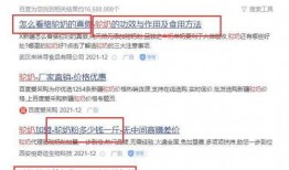 新闻爆料口播内容怎么写,真实与虚构的交织