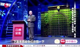 孙建宏麻豆,麻豆背后的商业传奇
