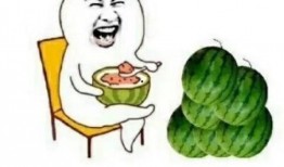 娱乐吃瓜公司,揭秘娱乐圈幕后那些事儿