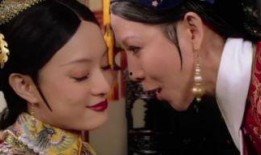 后宫争宠电视剧,权谋与爱情的较量