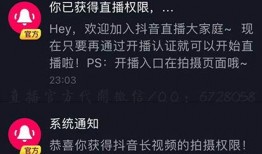 抖音怎么快速爆料视频,一键捕捉热点瞬间