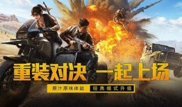 和平精英一周年最新爆料,揭秘全新爆料，精彩内容抢先看！