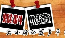 民间热门新闻爆料网,民间热门新闻爆料网背后的真相