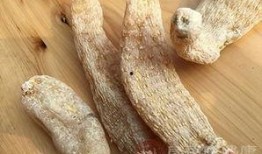 天麻豆功效,神奇功效，养生保健新选择