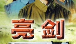 亮剑电视剧全集,烽火岁月里的英雄传奇