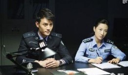 刑警的电视剧有哪些,揭秘悬疑案件的背后