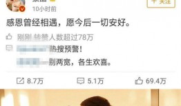 娱乐圈综艺小说吃瓜,吃瓜群众逆袭记
