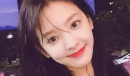 网红出道的明星,网络红人的华丽蜕变之路