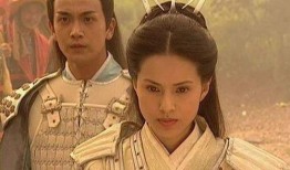 电视剧杨门虎将全集