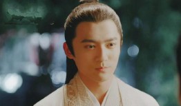 纨绔世子妃电视剧演员表,实力派与新生代齐聚演绎传奇爱情