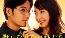 日剧电视剧,穿越时空的情感之旅