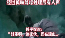 昆山都市爆料事件视频播放,视频揭露惊人真相，引发社会热议