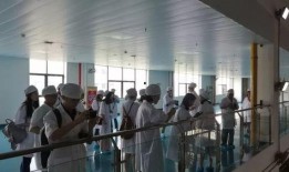 黄石电子厂爆料视频最新,揭秘工厂真实工作环境与员工心声