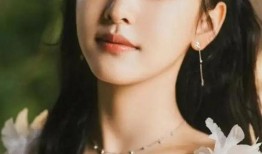 网红出道的明星,网络红人的华丽蜕变之路