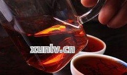 爆料茶叶的视频教程,跟随视频教程学泡茶技巧