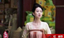 将欣演过的电视剧,欣儿演绎的传奇人生
