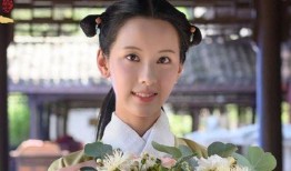 金晨演过的电视剧,金晨演艺生涯精彩剧集盘点